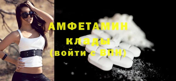 гидра Горняк