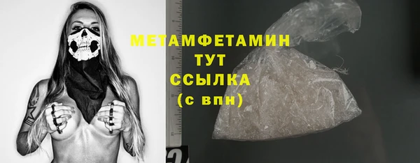 гидра Горняк